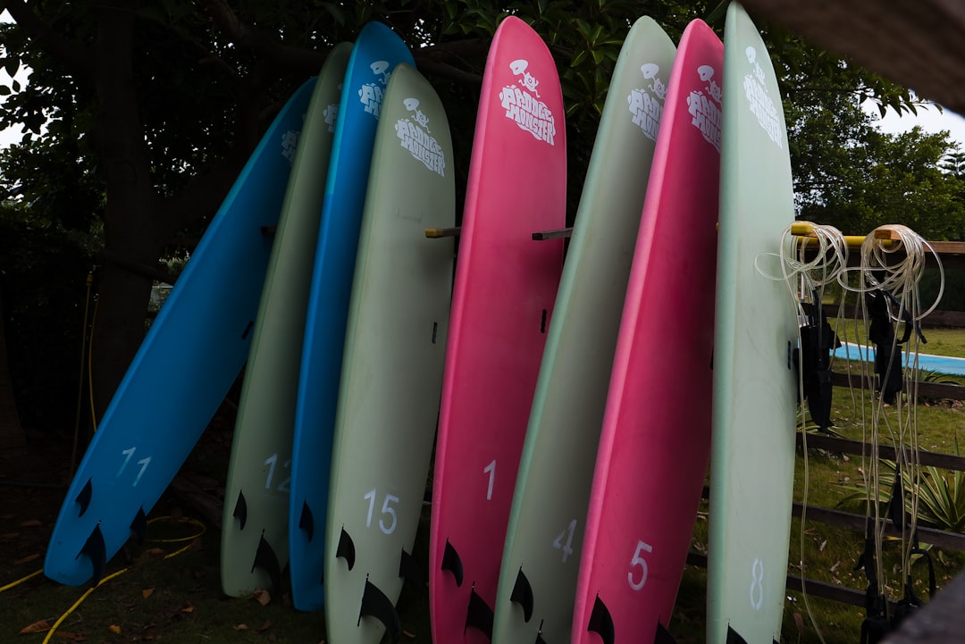 Easy Surf – historia i znaczenie marki w polskich sportach wodnych